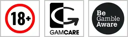 การเล่นเกมอย่างมีความรับผิดชอบ